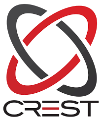 Crest Partner - Cyber Risk
